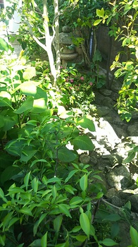 DSC_2670.JPG